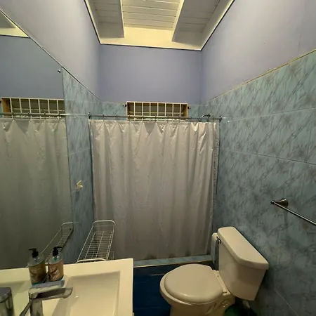 Shalom Suite 2, Manor Park Kingston Exterior foto