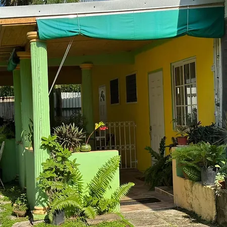 Shalom Suite 2, Manor Park Kingston Exterior foto