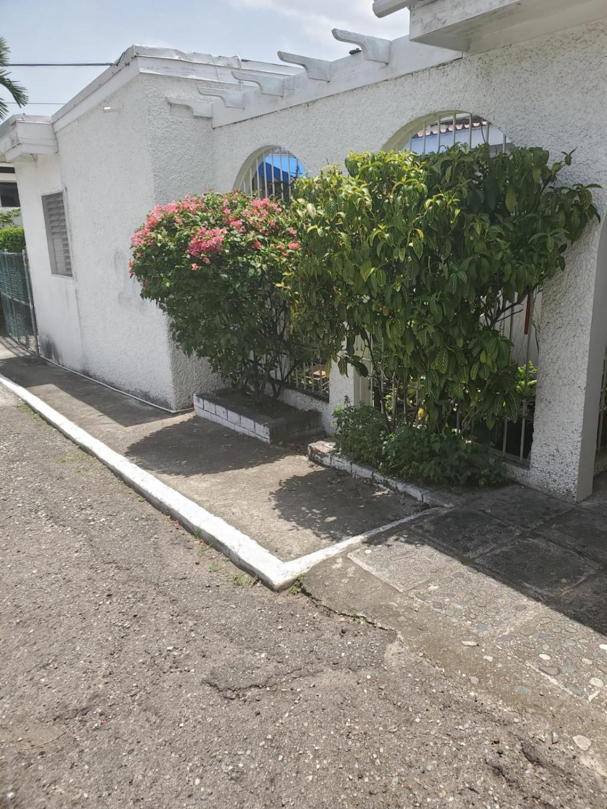 Shalom 2, Manor Park Appartamento Kingston